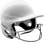 RIP-IT Vision Pro Softball Batting Helmet (2) coastaldistributions.
